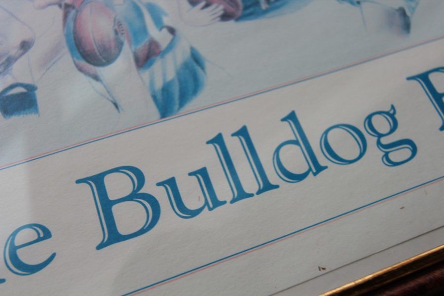 🏷️ RARE 🏷️ Circa 1995 Footscray Western Bulldogs ‘The Bulldog Breed’ Framed Poster by Noel